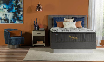 Shanandoah Plush Eurotop Mattress WEB-0826VLBPLETCM-4787-Edit-FINAL.jpg